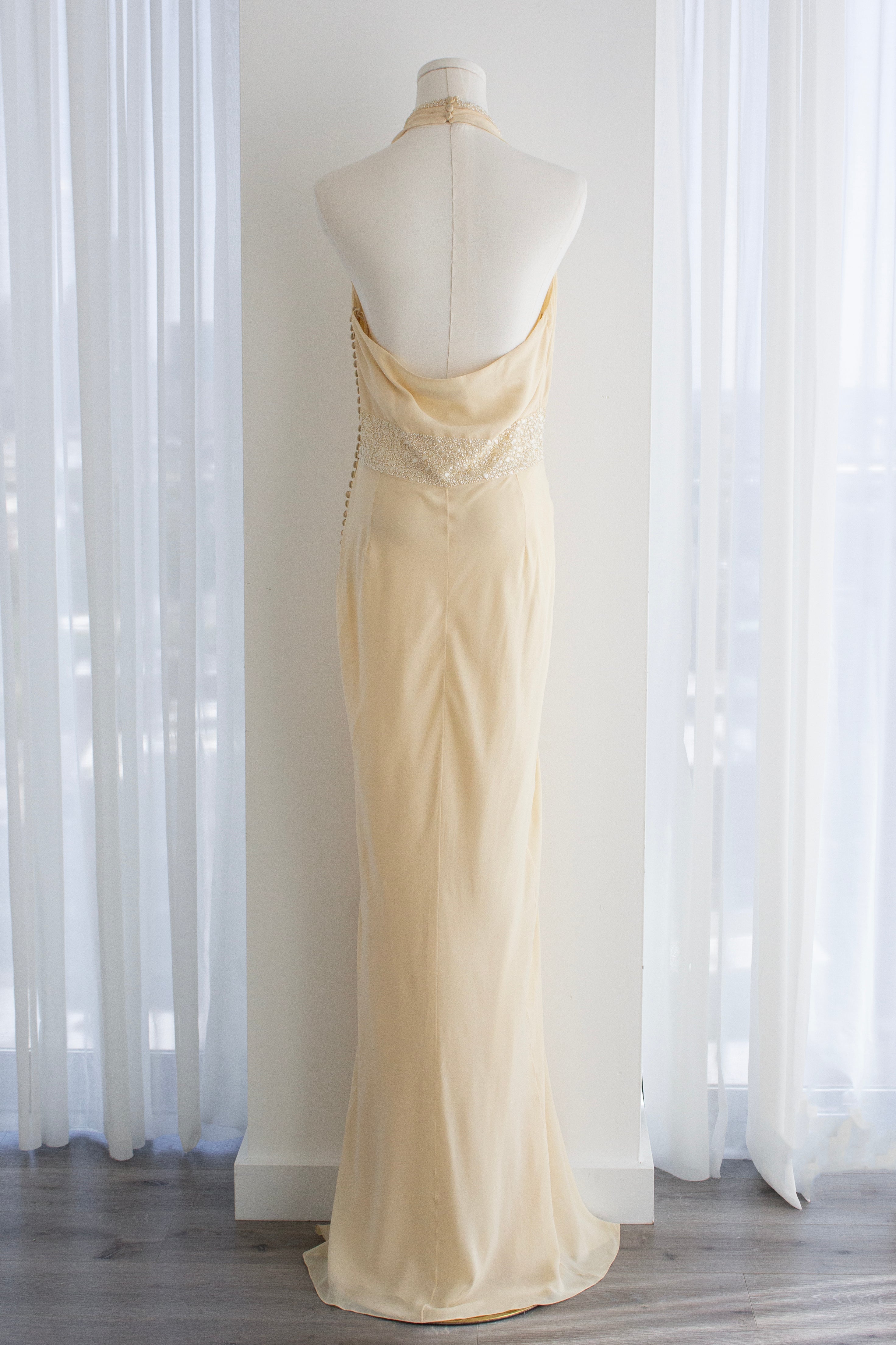 Christian Dior by John Galliano Pre-Fall 2009 Ivory Embellished Silk Gown