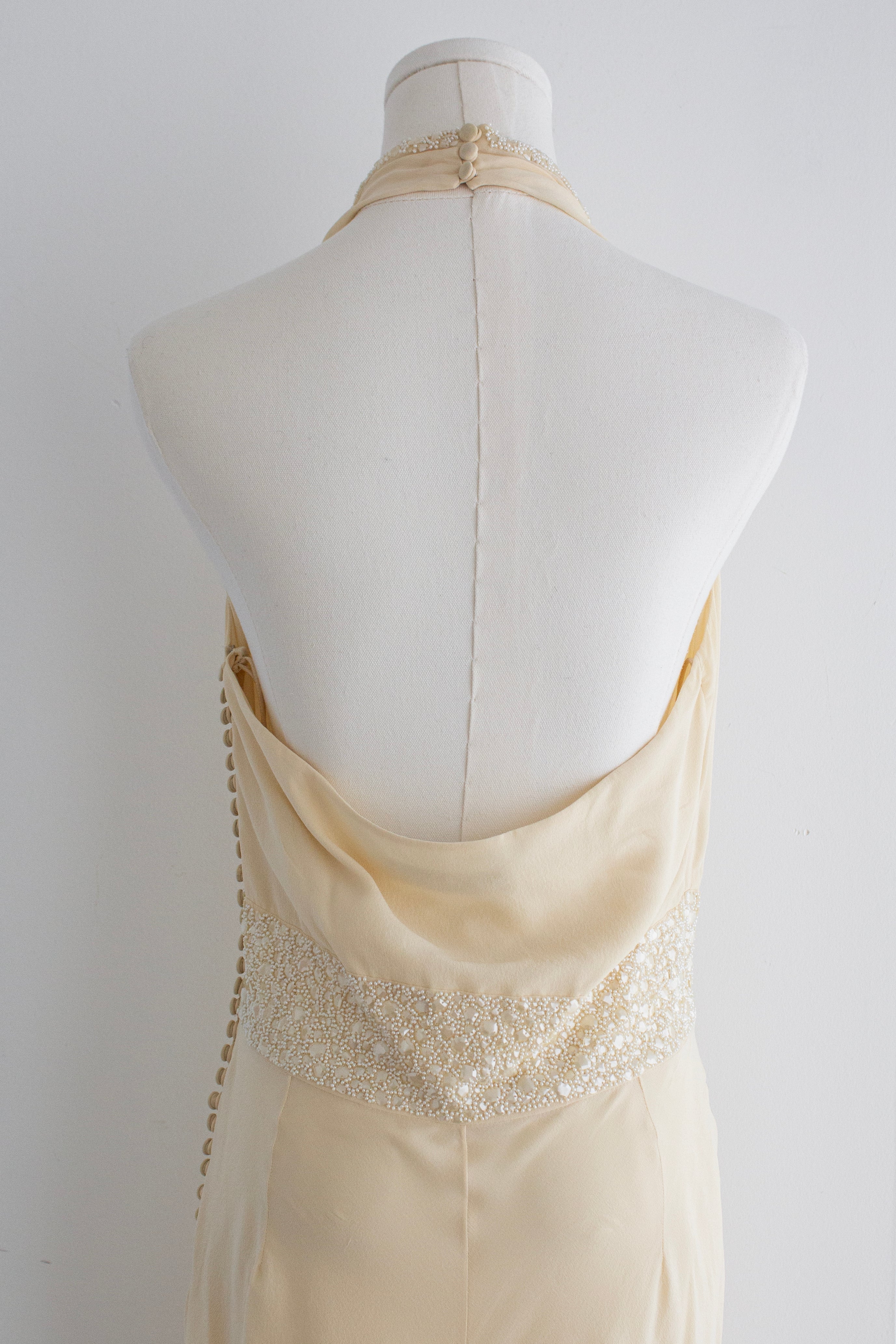 Christian Dior by John Galliano Pre-Fall 2009 Ivory Embellished Silk Gown