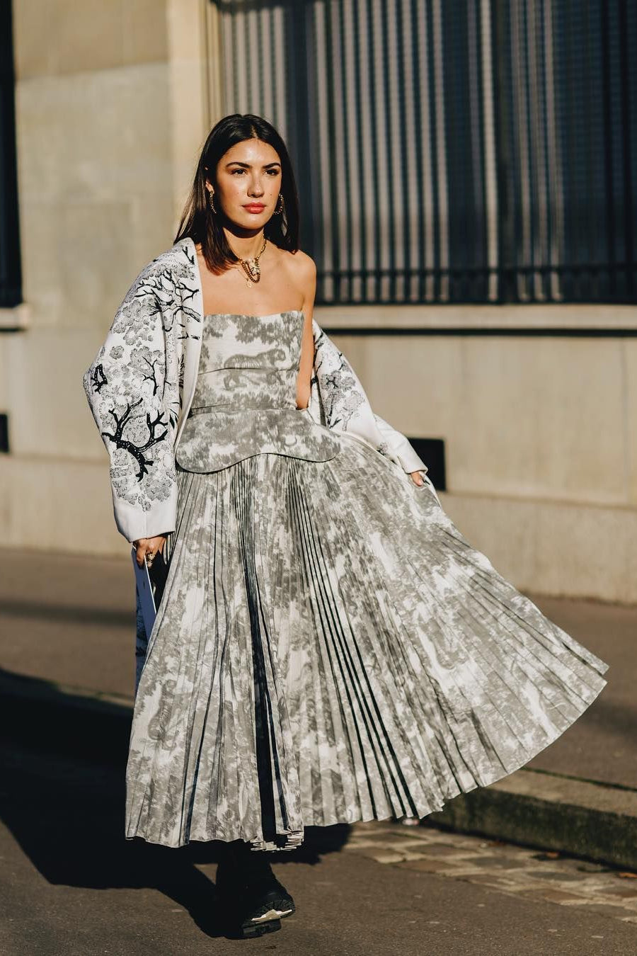 Christian Dior S/S 2019 Grey Toile De Jouy Print Corset Pleated Dress