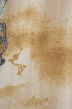 Condition image 1